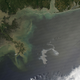 Illustration for article titled Imagine This 600-Square-Mile Oil Slick... On Fire